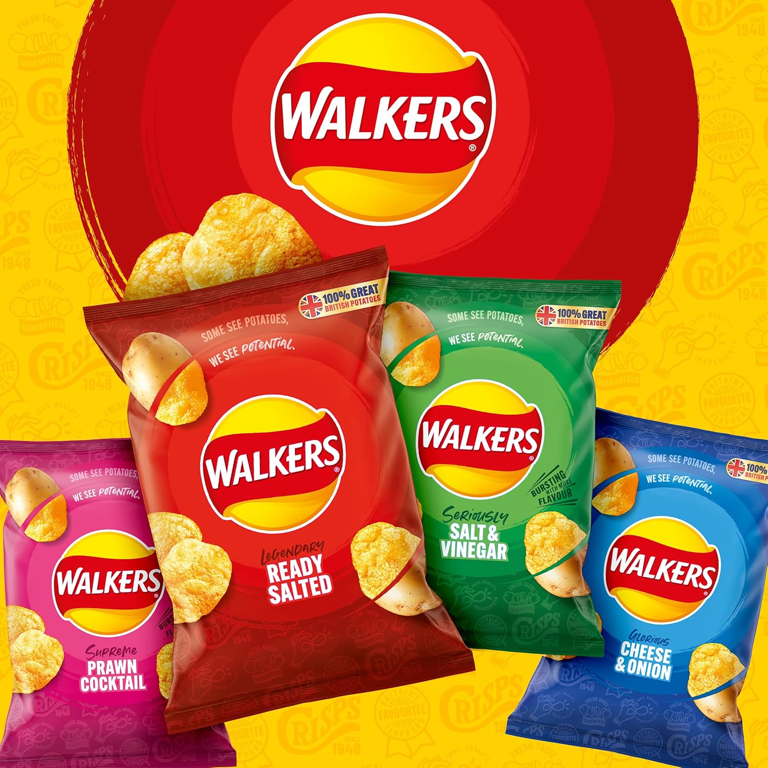 Walkers Salt &amp; Vinegar Chips 32,5 g (Karton mit 32 Stück) 12