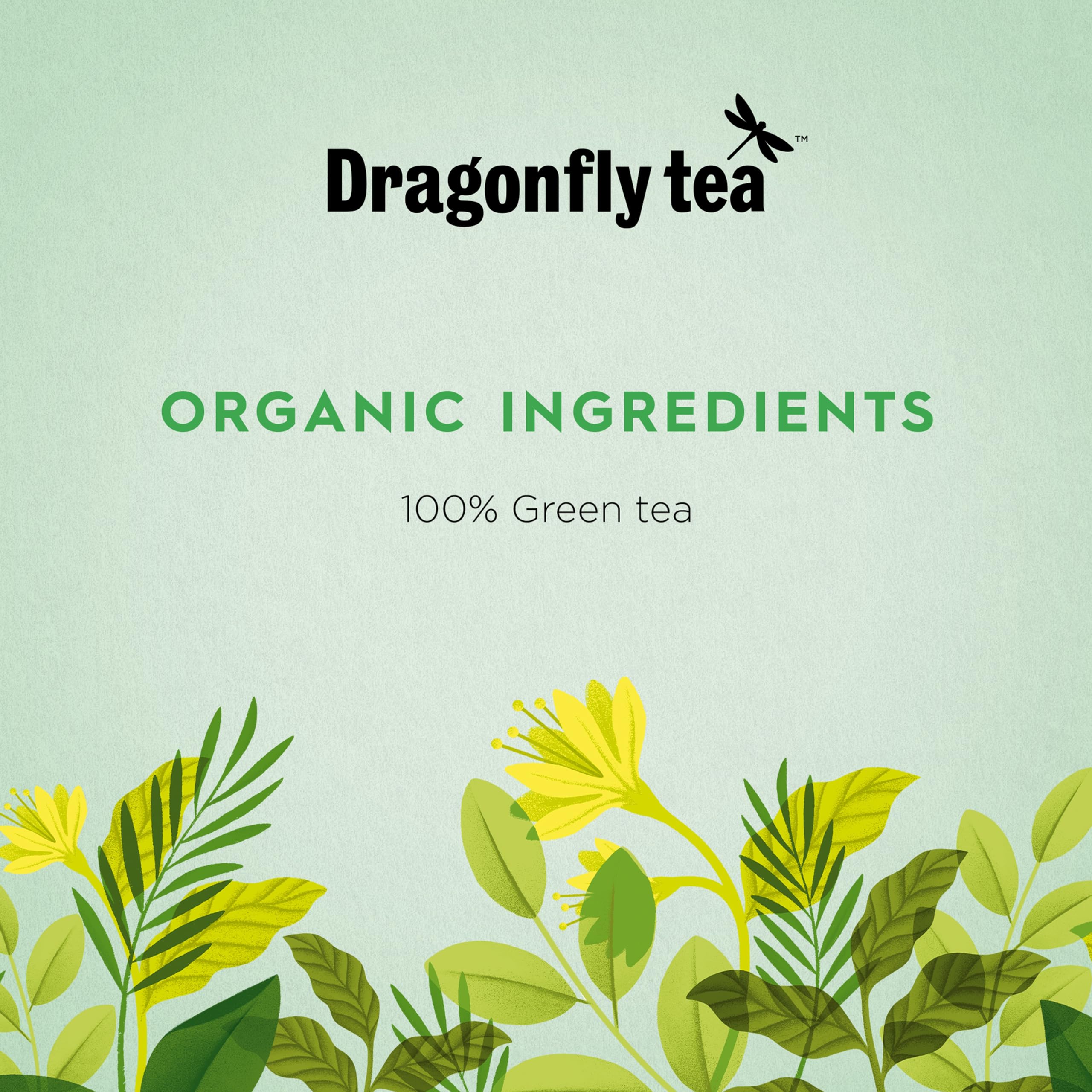 Dragonfly - Pure Green Mountain Organic Green Tea Bags, 80 Count (4 x 20) 6