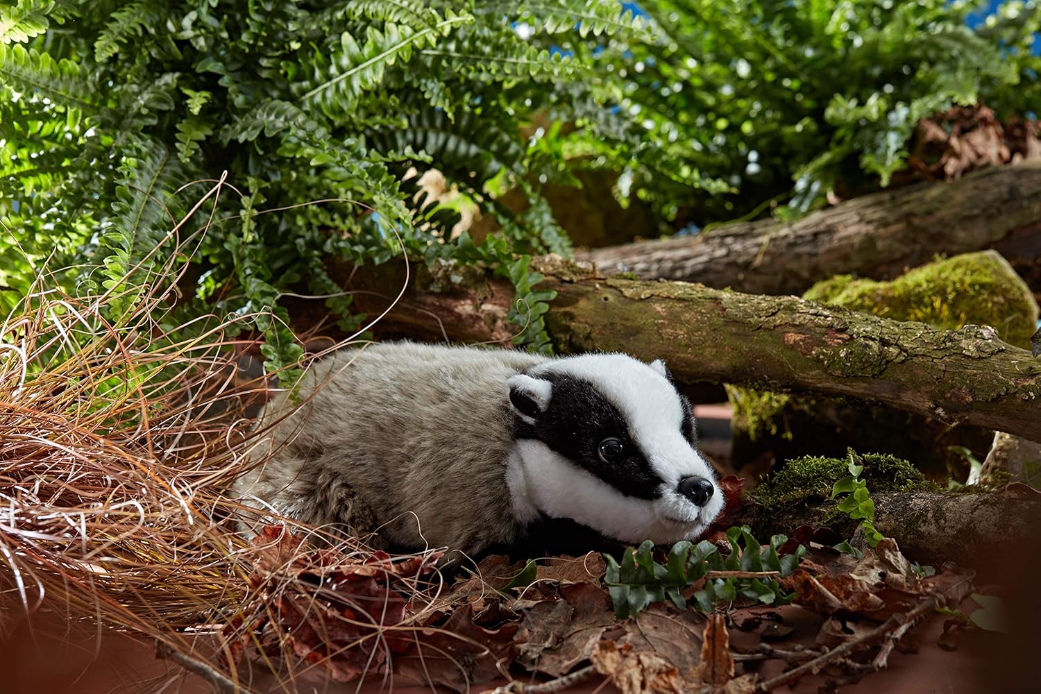 Living Nature Soft Toy - Realistic Badger Plush (27cm) 7