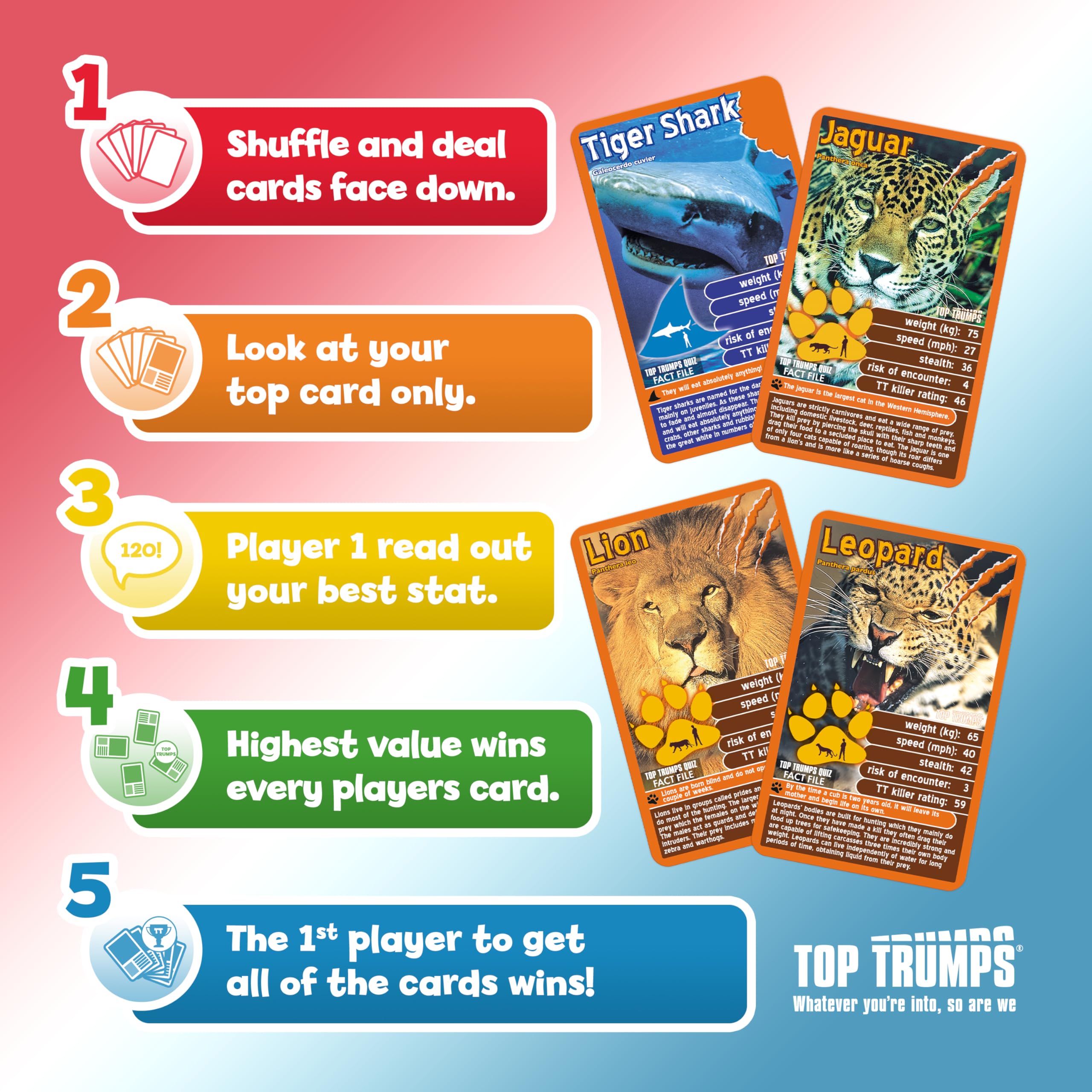 Top Trumps Bugs Classic Card Game - Educational Insect & Arachnid Trivia for Kids 6+ 9