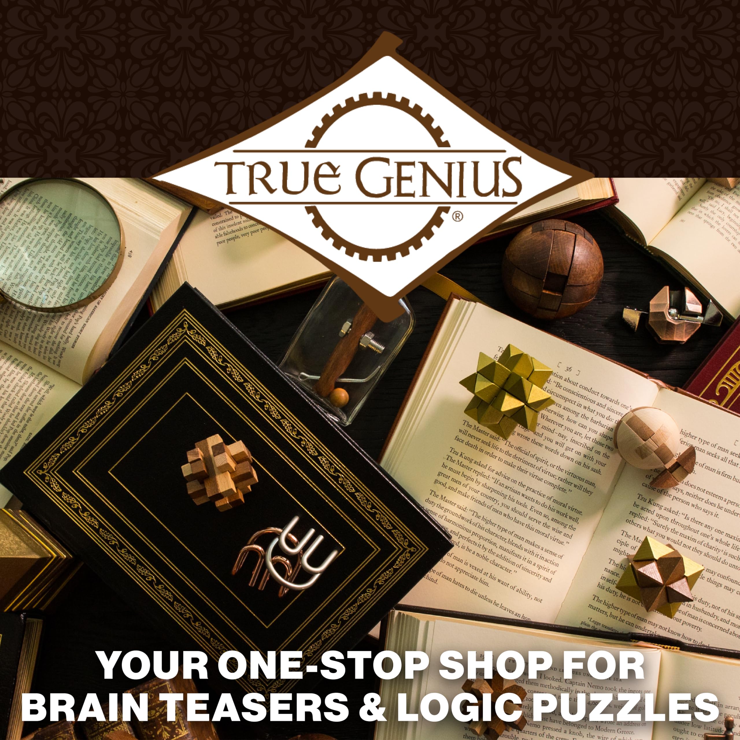 True Genius: Caesar's Calendar - 365-Day Wooden Brain Teaser Puzzle for Adults & Kids 12