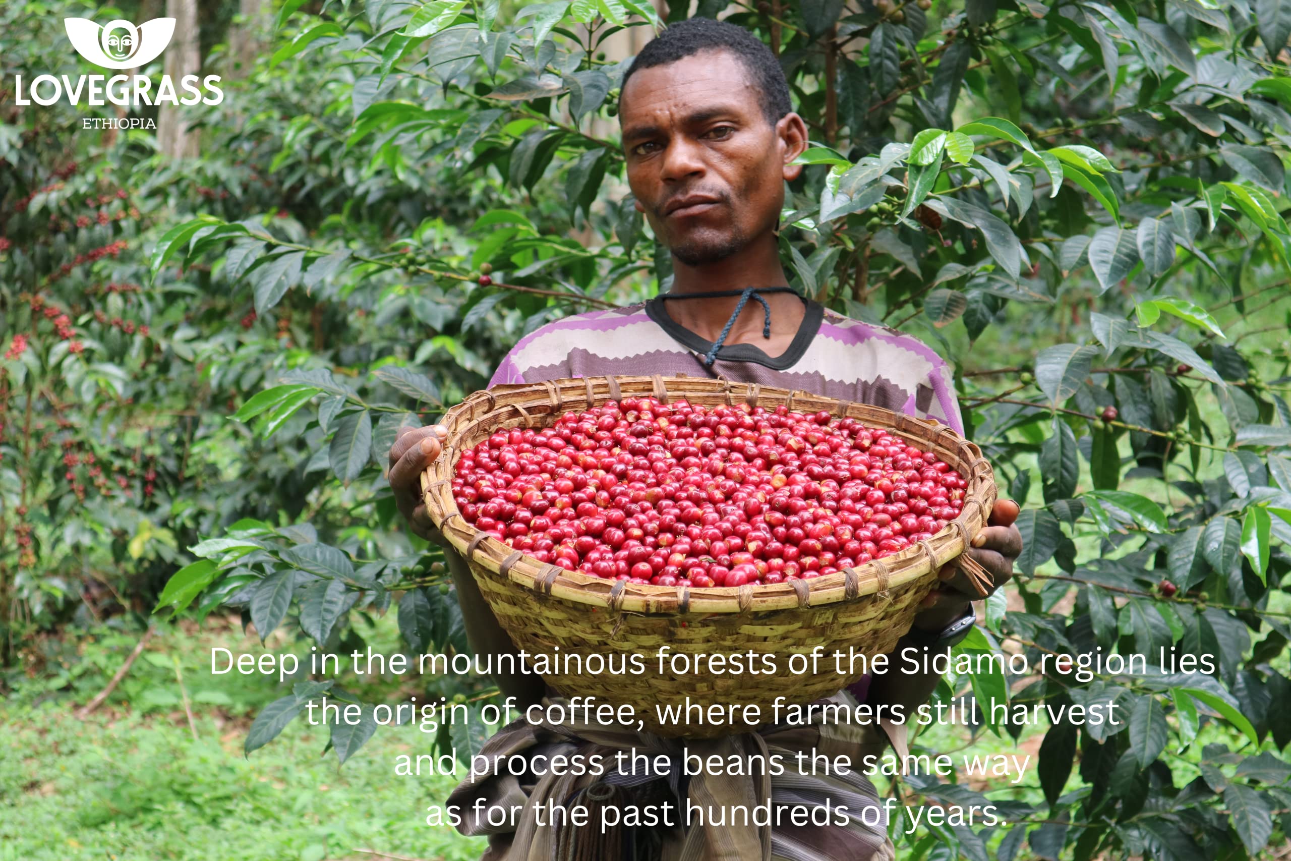 Lovegrass Ethiopia - Single Origin Sidamo Coffee Medium Roast 250g