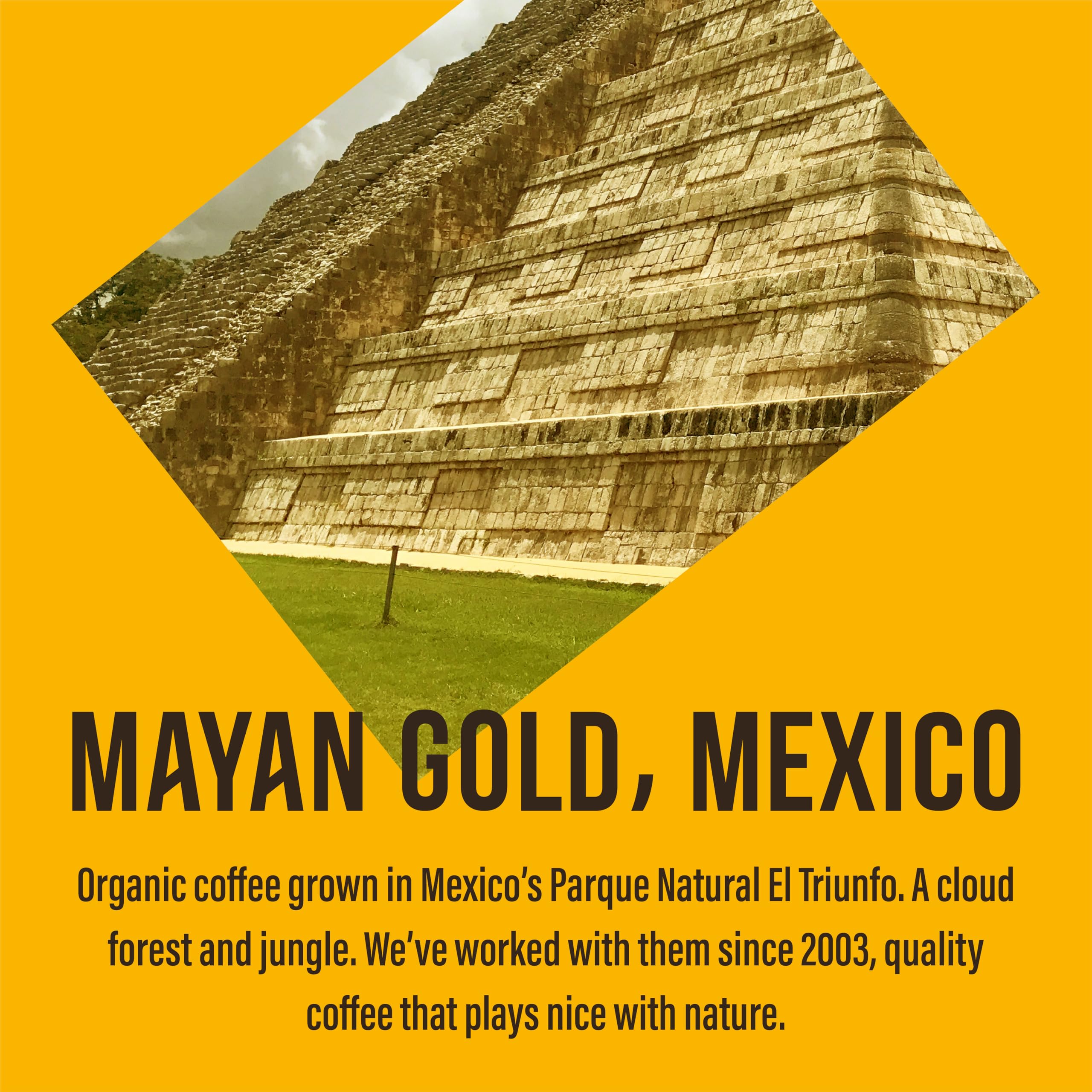 Cafédirect Mayan Gold Mexico Organic Fairtrade Ground Arabica Coffee 227g 9