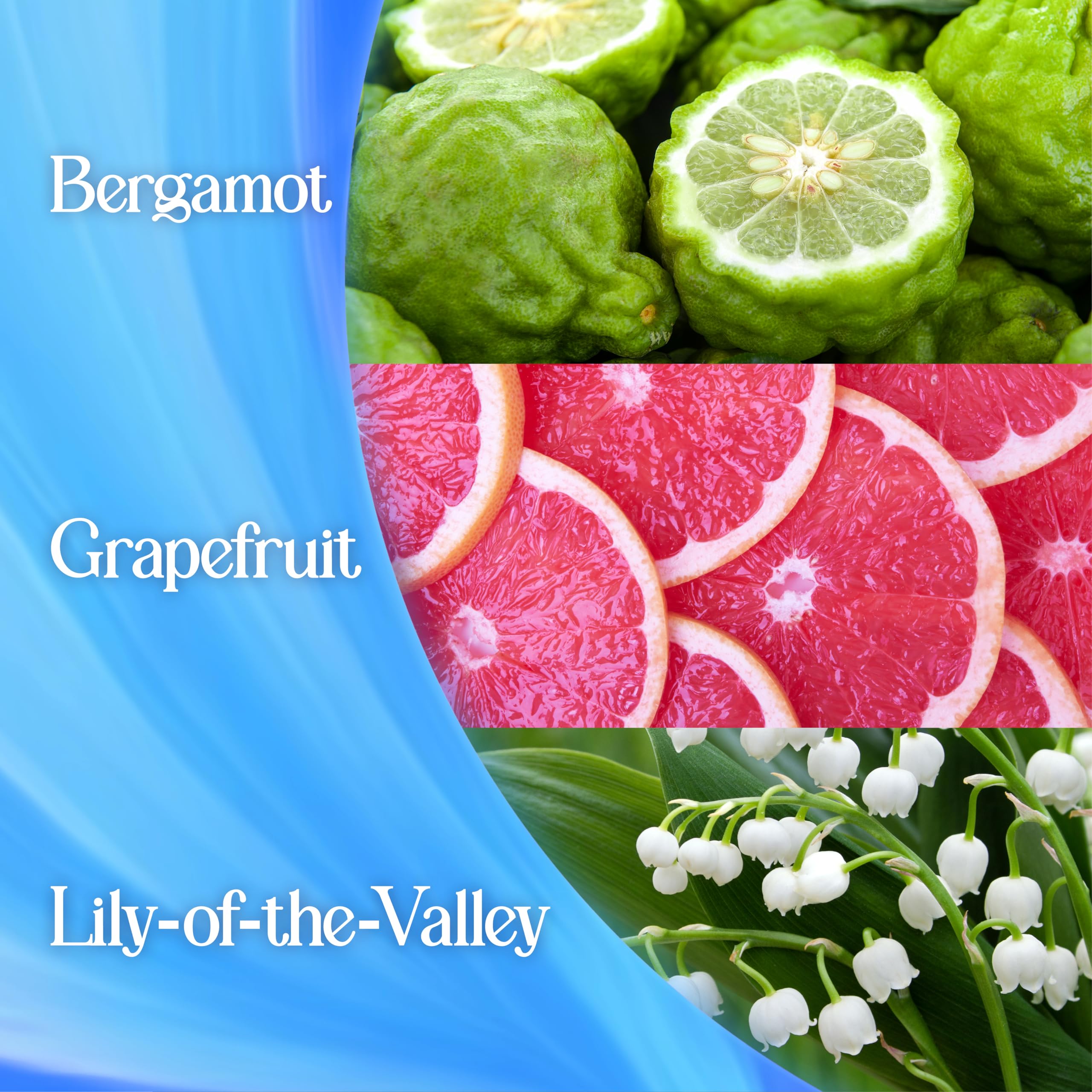 Surf - Magnifi-Scent Wash Aqua Bliss Laundry Liquid Detergent 6