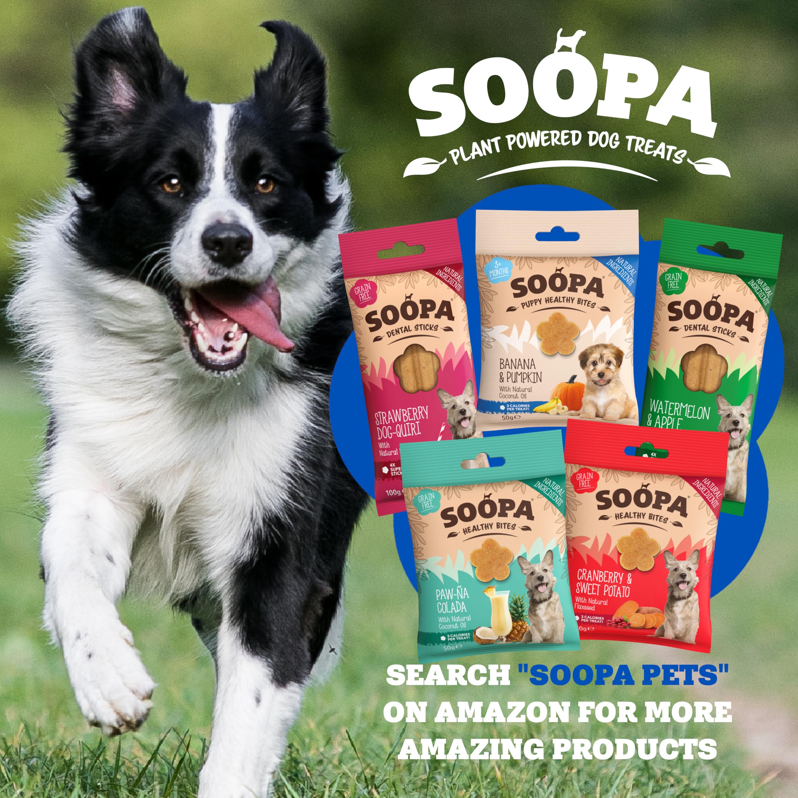 Soopa Apple & Blueberry Dental Sticks - All Natural | Low Fat | All Life Stages 7
