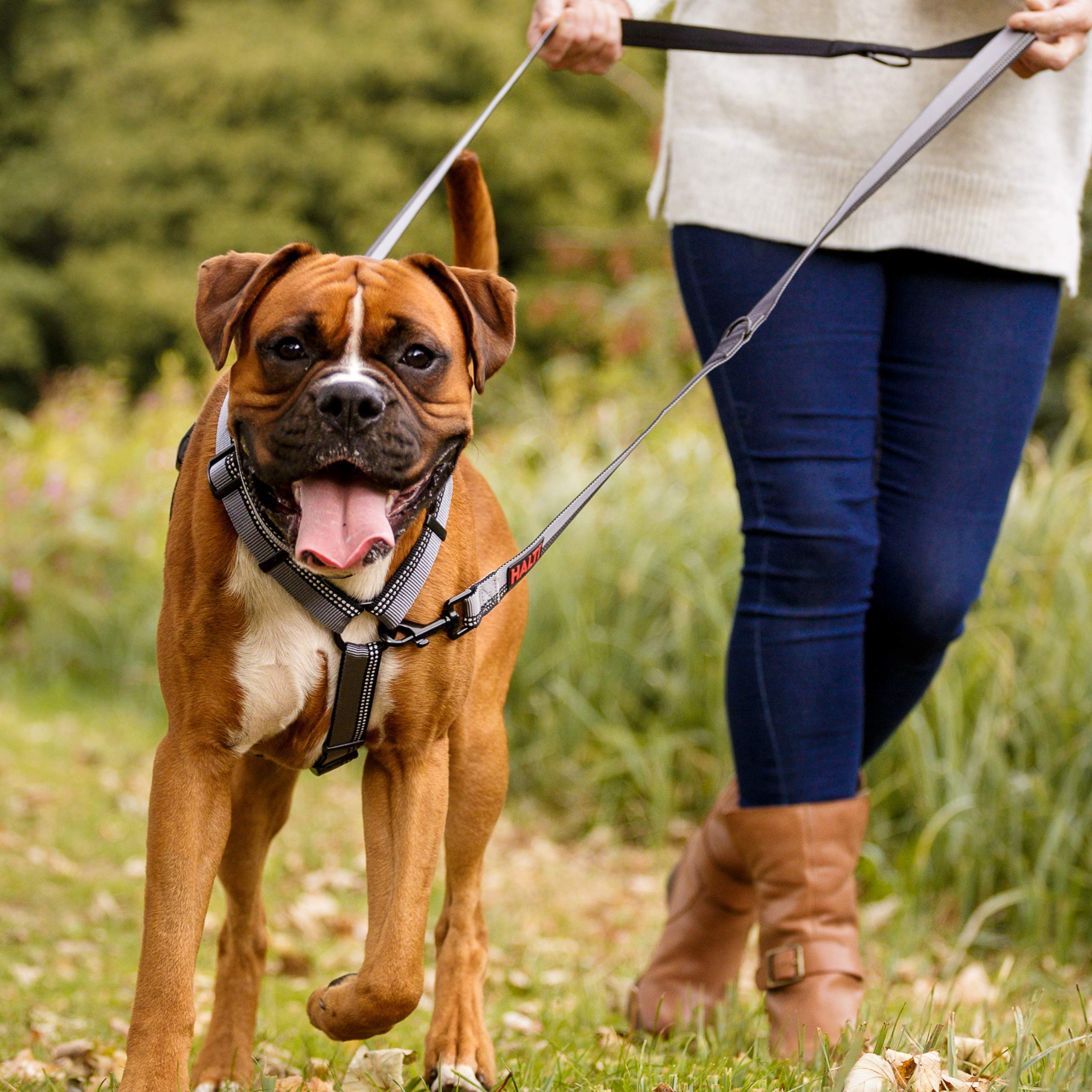 Halti Double-Ended Lead for Dogs - Large, Purple, 2m | Neoprene Padded, Hands-Free Capable 4