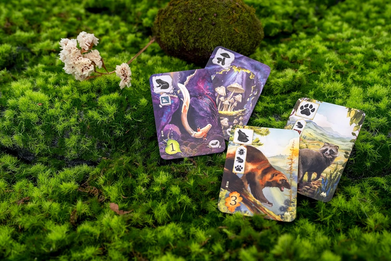 Rebel Meadow: Adventure Book Story-Book Game for Ages 10+ | 1-4 Players 6