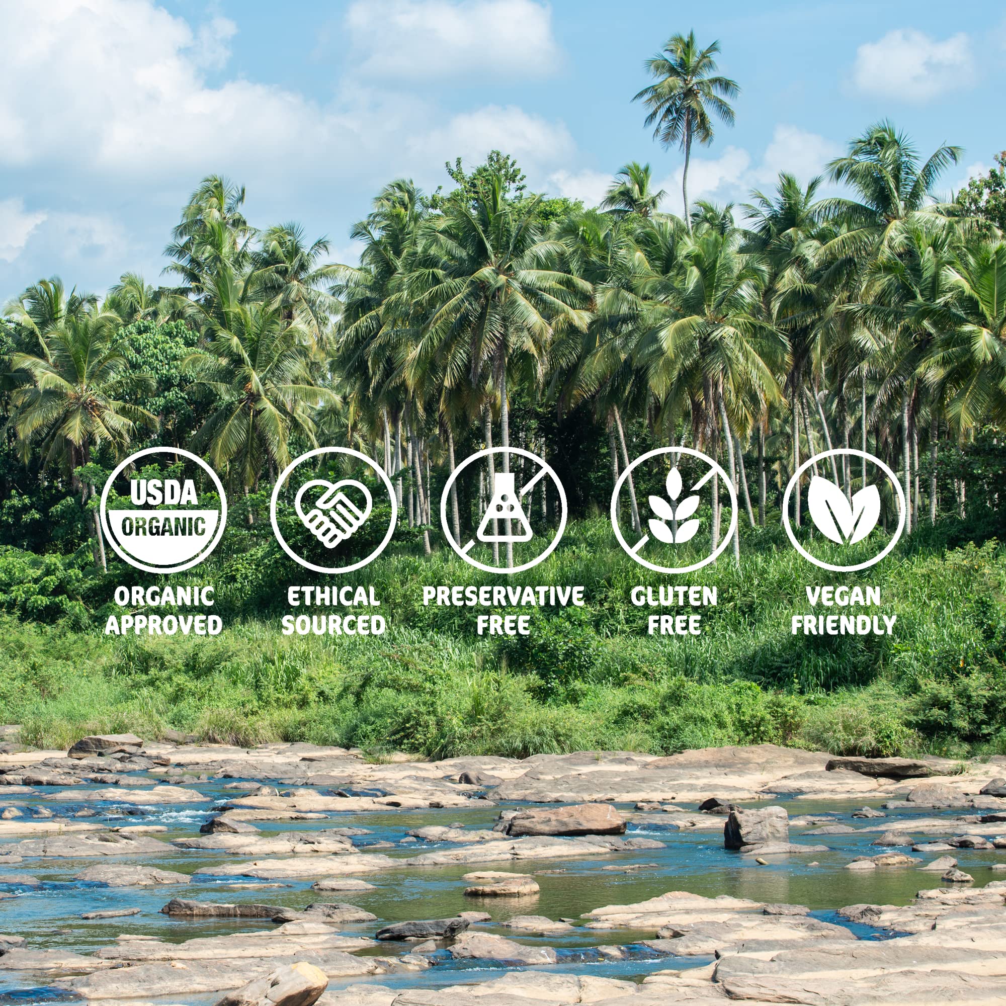 House of Monara Bio-Kokosöl extra vergine – kaltgepresstes rohes Kokosöl (760 g) 5