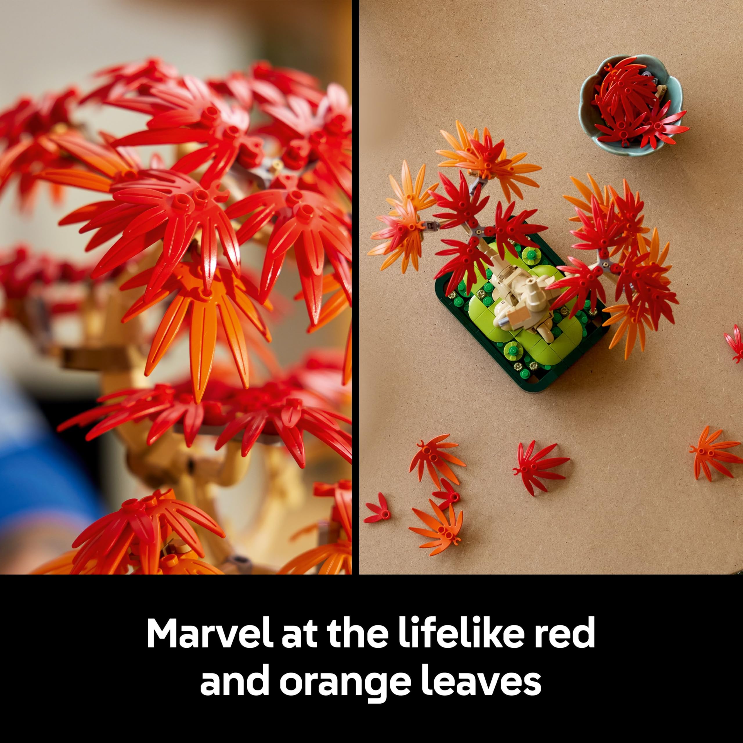 LEGO Botanicals Japanese Red Maple Bonsai Tree - Adult Building Set with Autumn-Colored Leaves 4