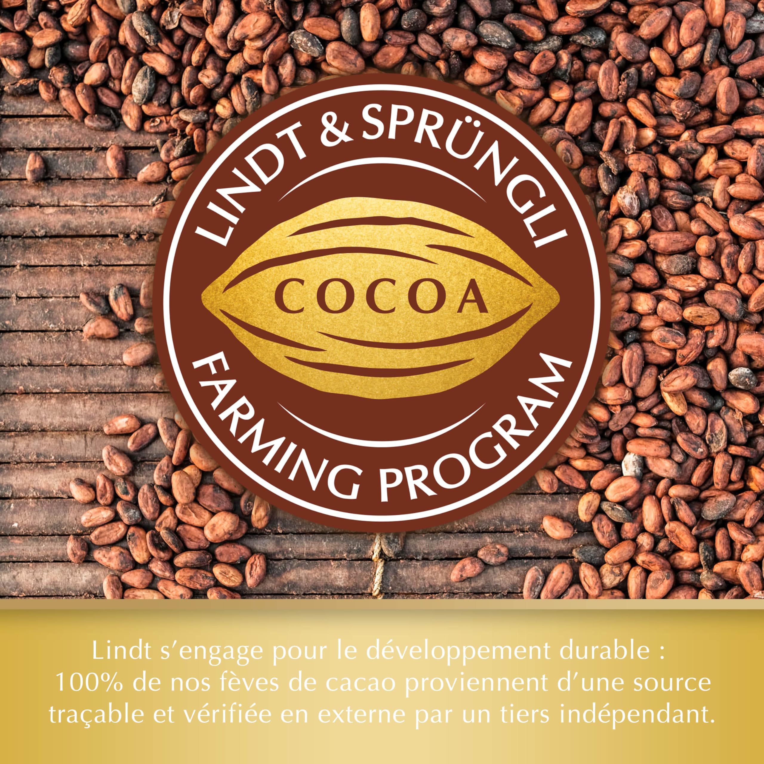 Lindt Schweizer Milchschokolade Haselnuss und Rosinen Goldtafel 300g 9