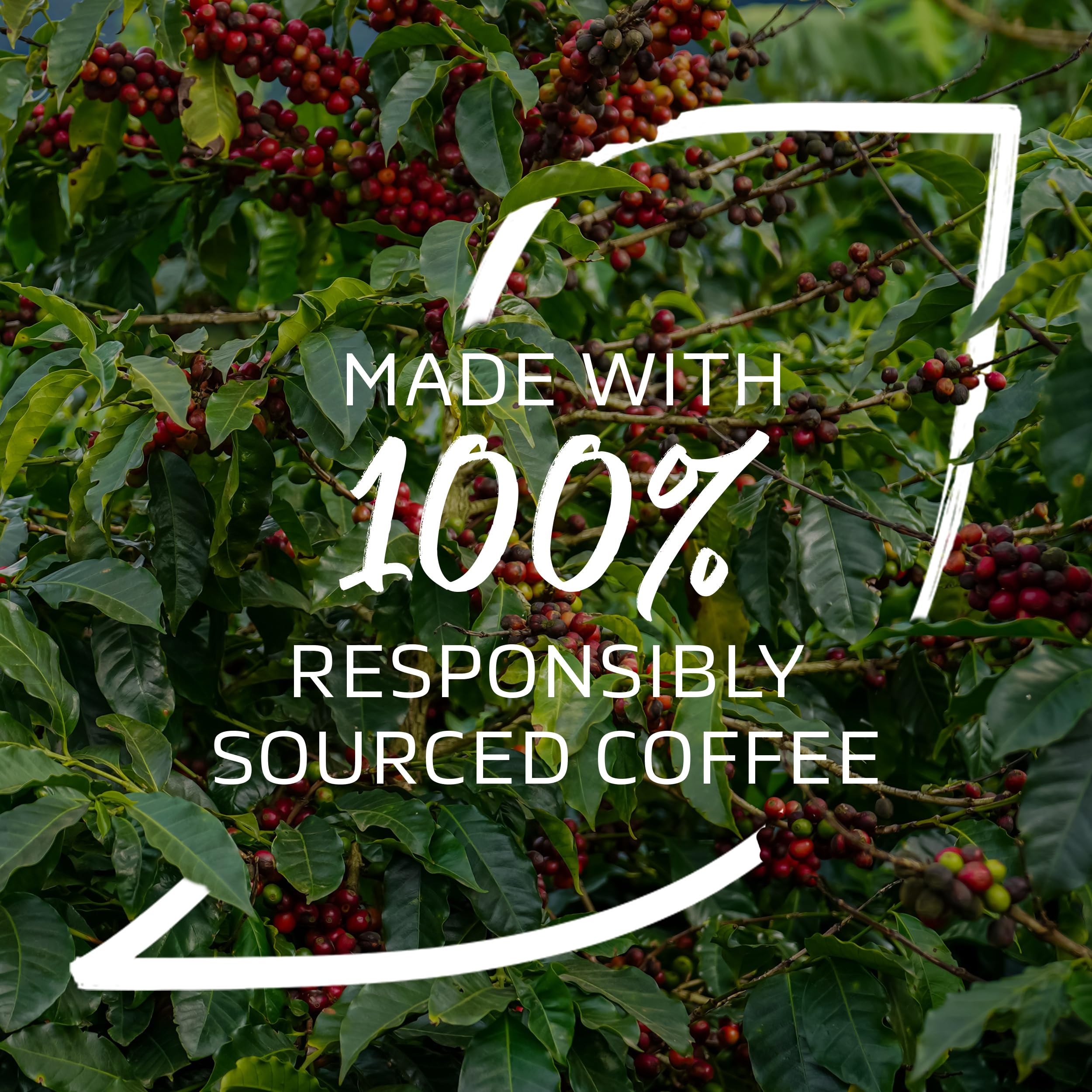 NESCAFÉ Organic Fairtrade Instant Coffee 500g - 100% Arabica, Citrus Notes, EU Organic Certified 10