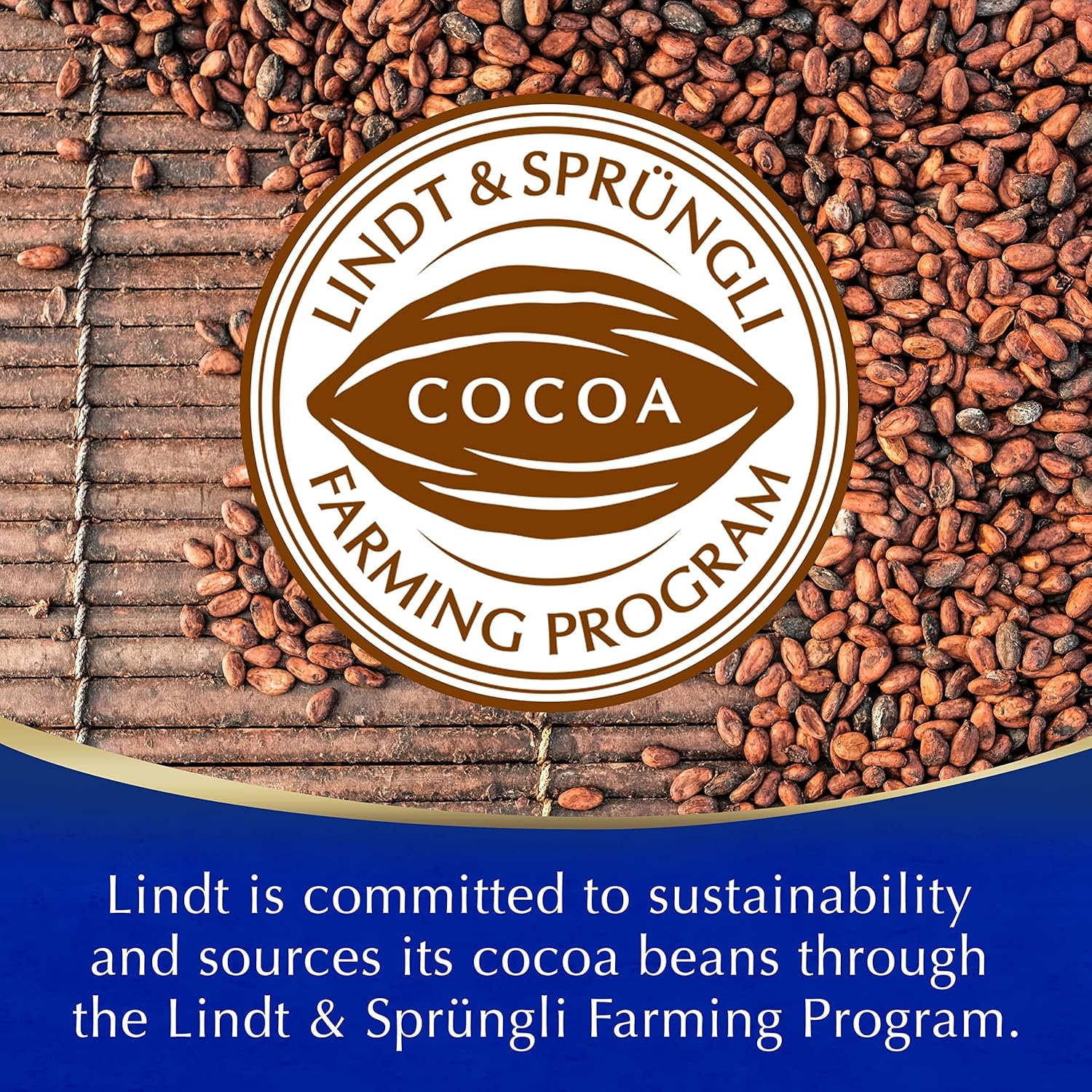 Lindt Heiße Schokolade 300 g – Hergestellt mit echter Lindt Schokolade, veganfreundliches Rezept 8