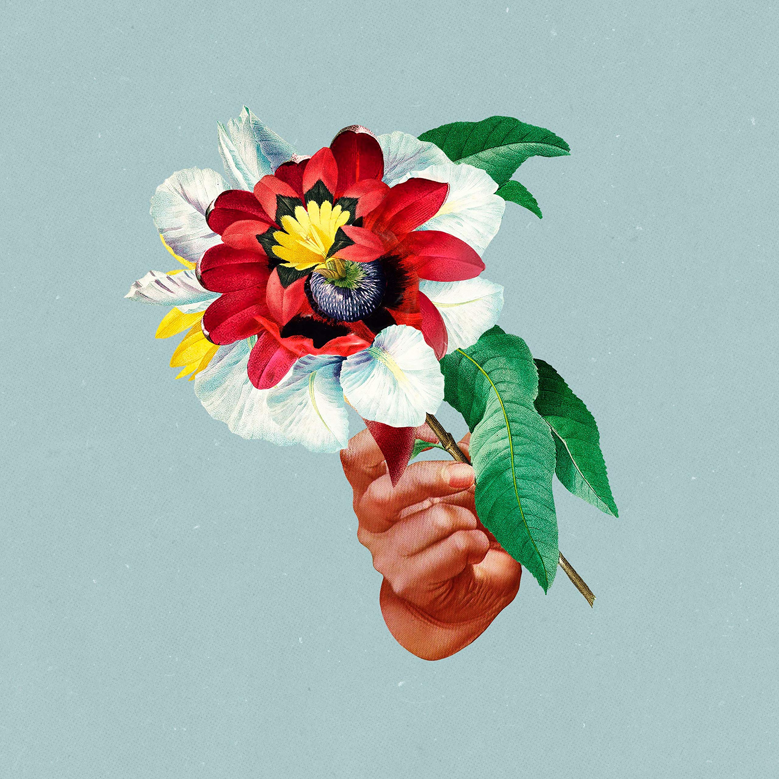 Maribou State - Kingdoms In Colour [Double LP Vinyl] 1