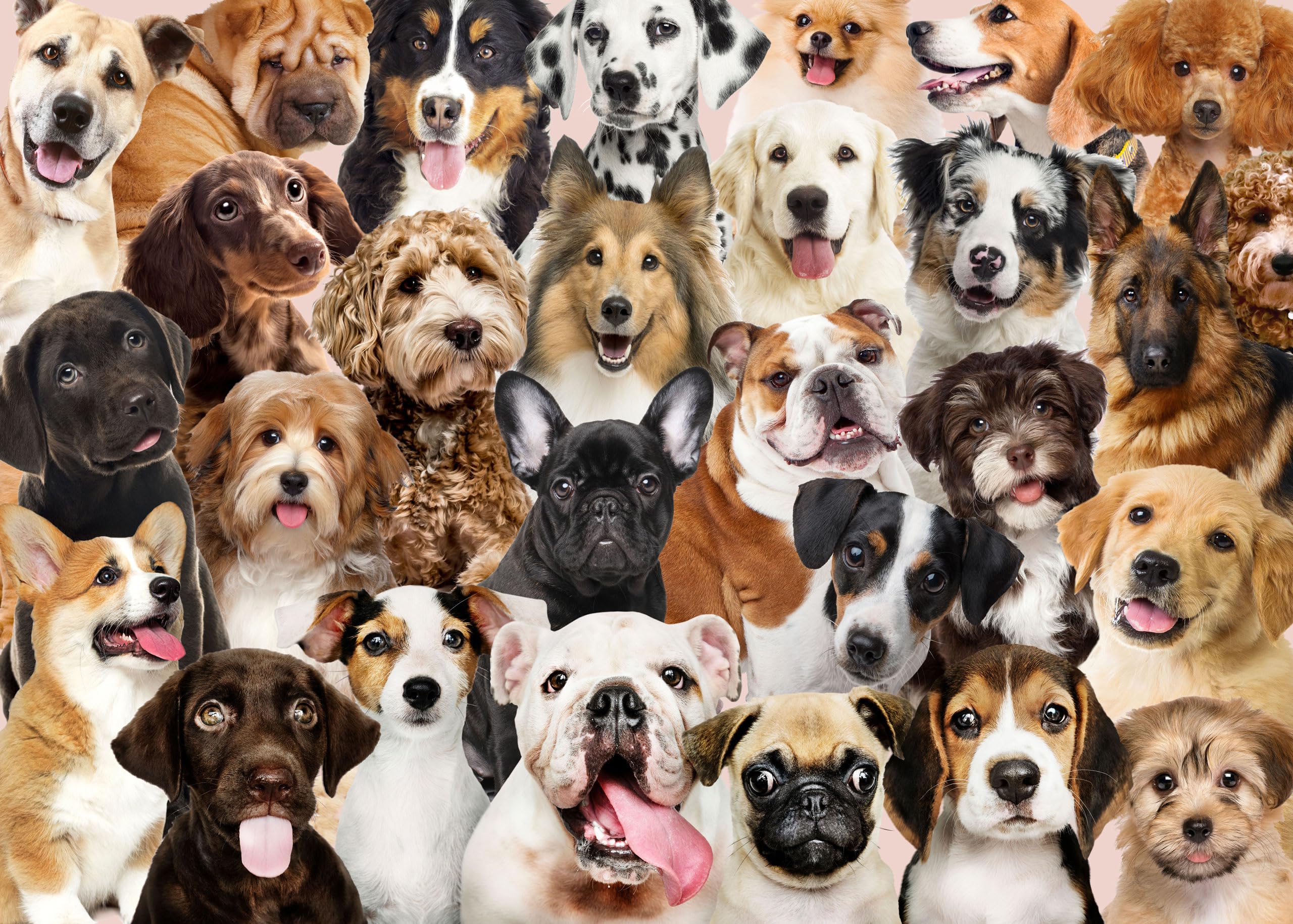 All the Dogs 1000 Piece Jigsaw Puzzle - Premium European Blue Board 4