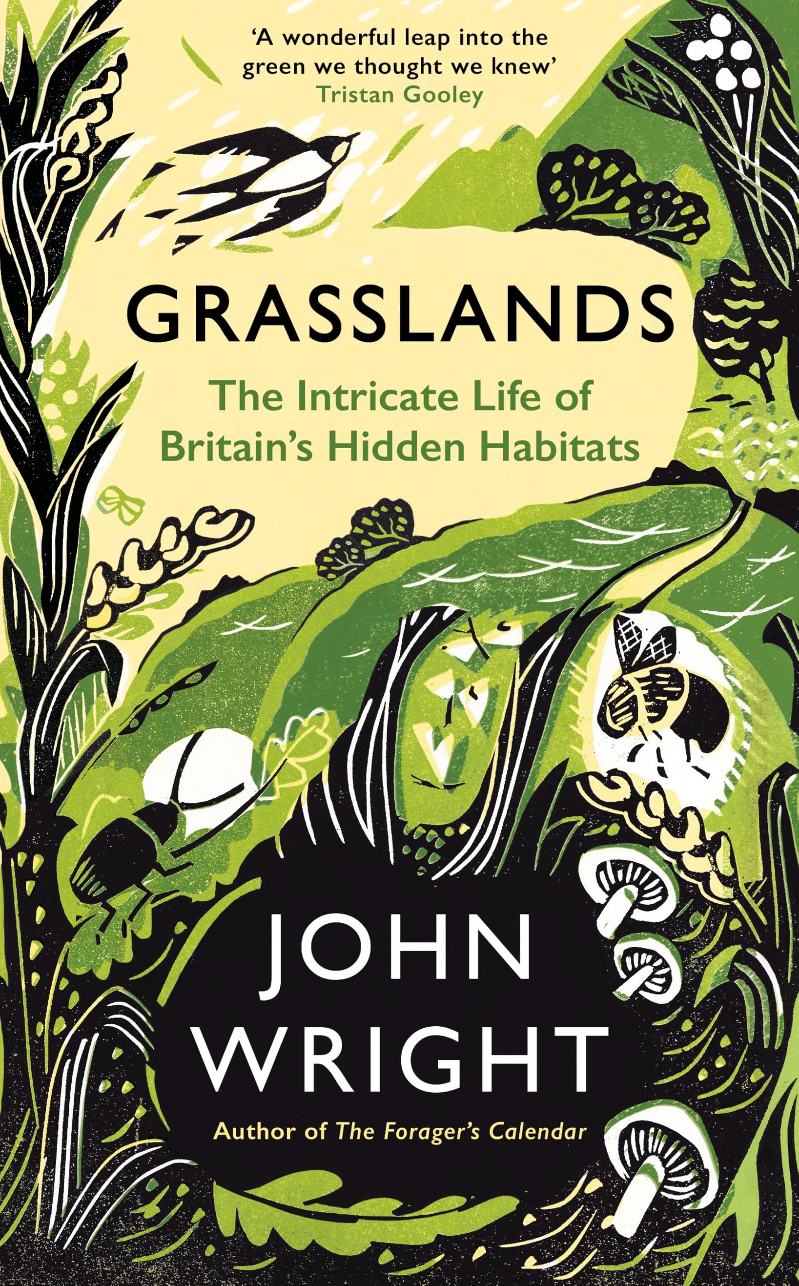 John Wright - Grasslands: The Intricate Life of Britain's Hidden Habitats | Hardcover