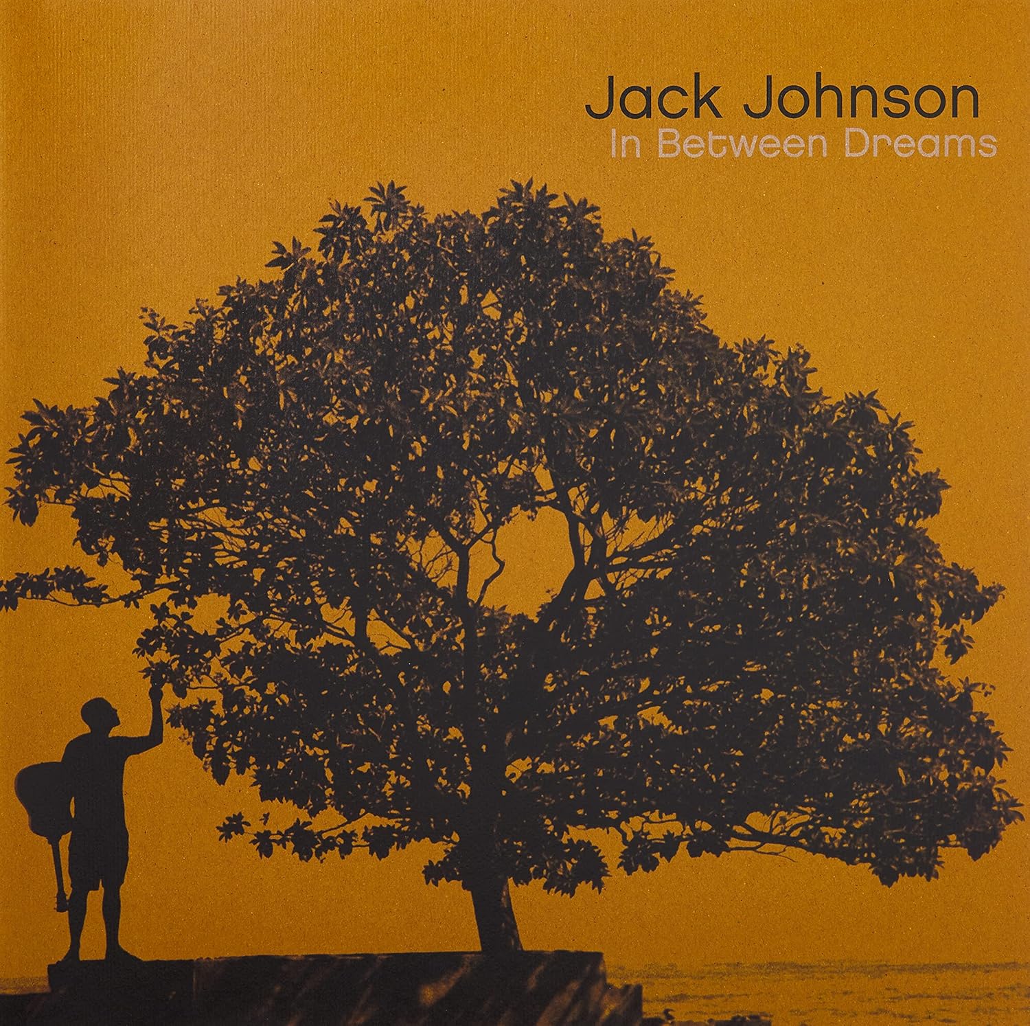 Jack Johnson - In Between Dreams Audio CD