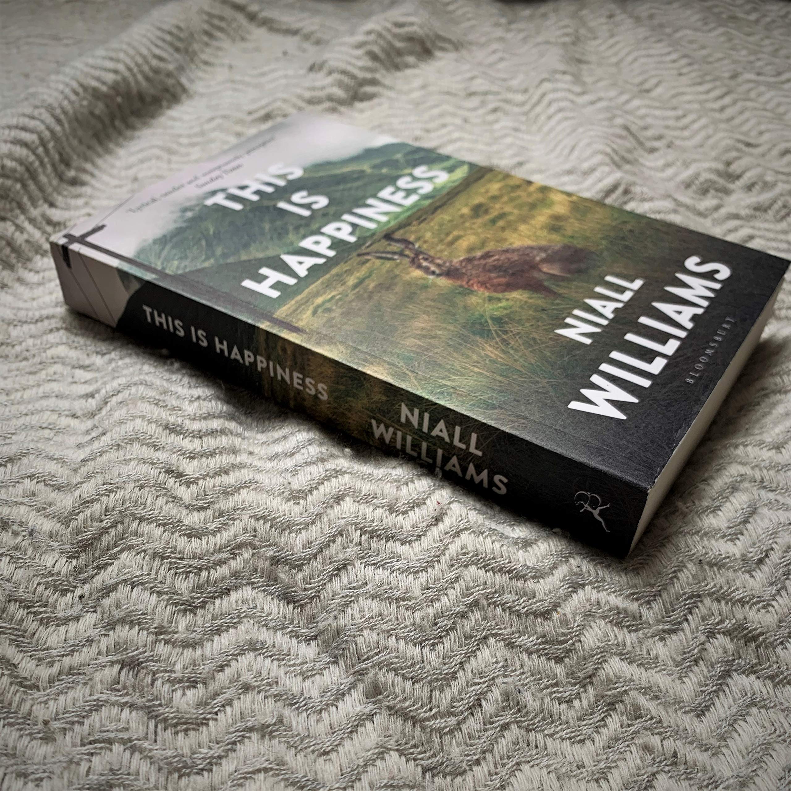 Bloomsbury This Is Happiness by Niall Williams | Contemporary Fiction Paperback 3