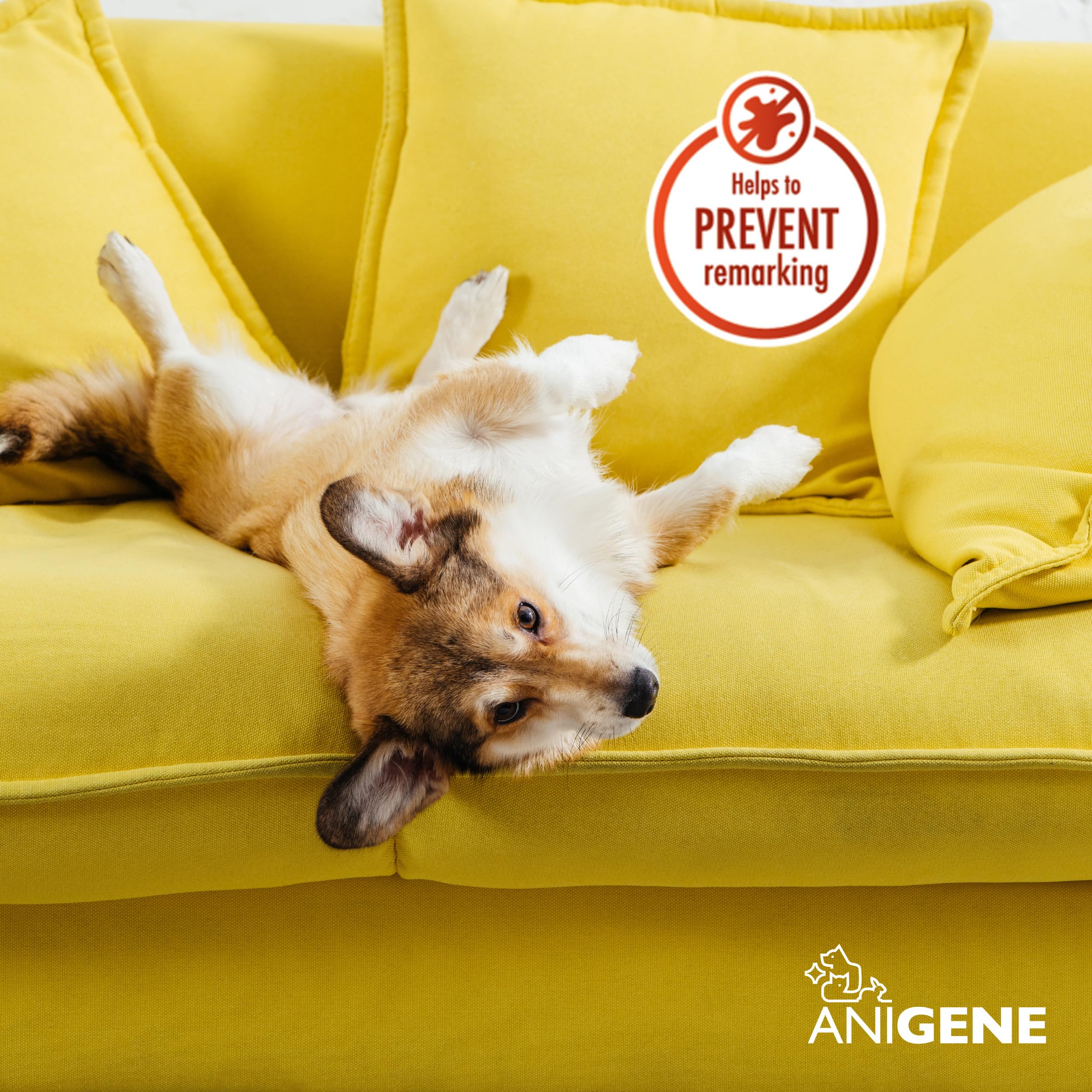 Byotrol ANIGENE Pet Urine Eliminator Spray - Enzyme Powered Stain Removal | 750ml Summer Zest 3
