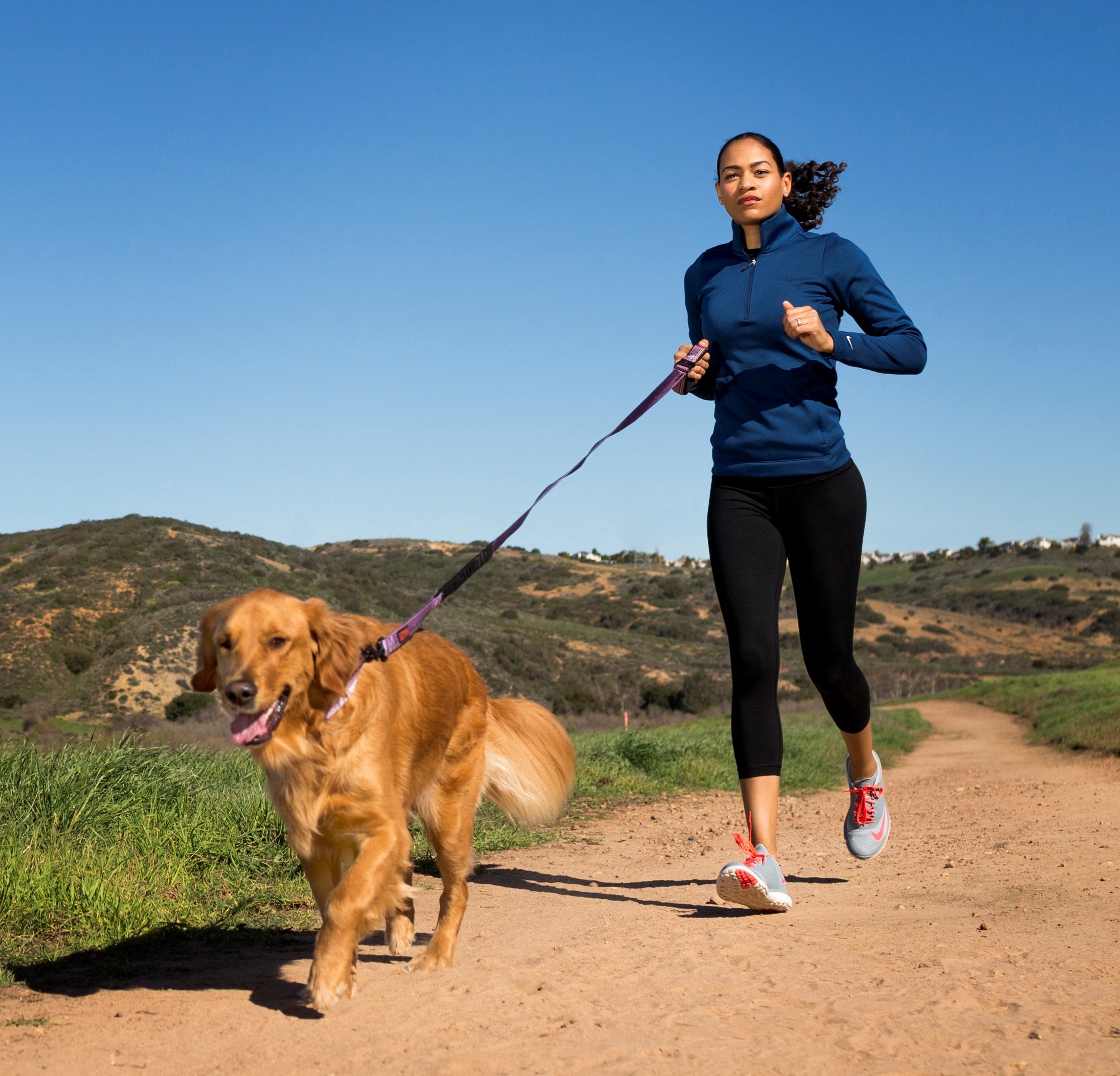 Halti Active Lead - Size Large, Black | Shock-Absorbing Bungee | Hands-Free Running & Training 3