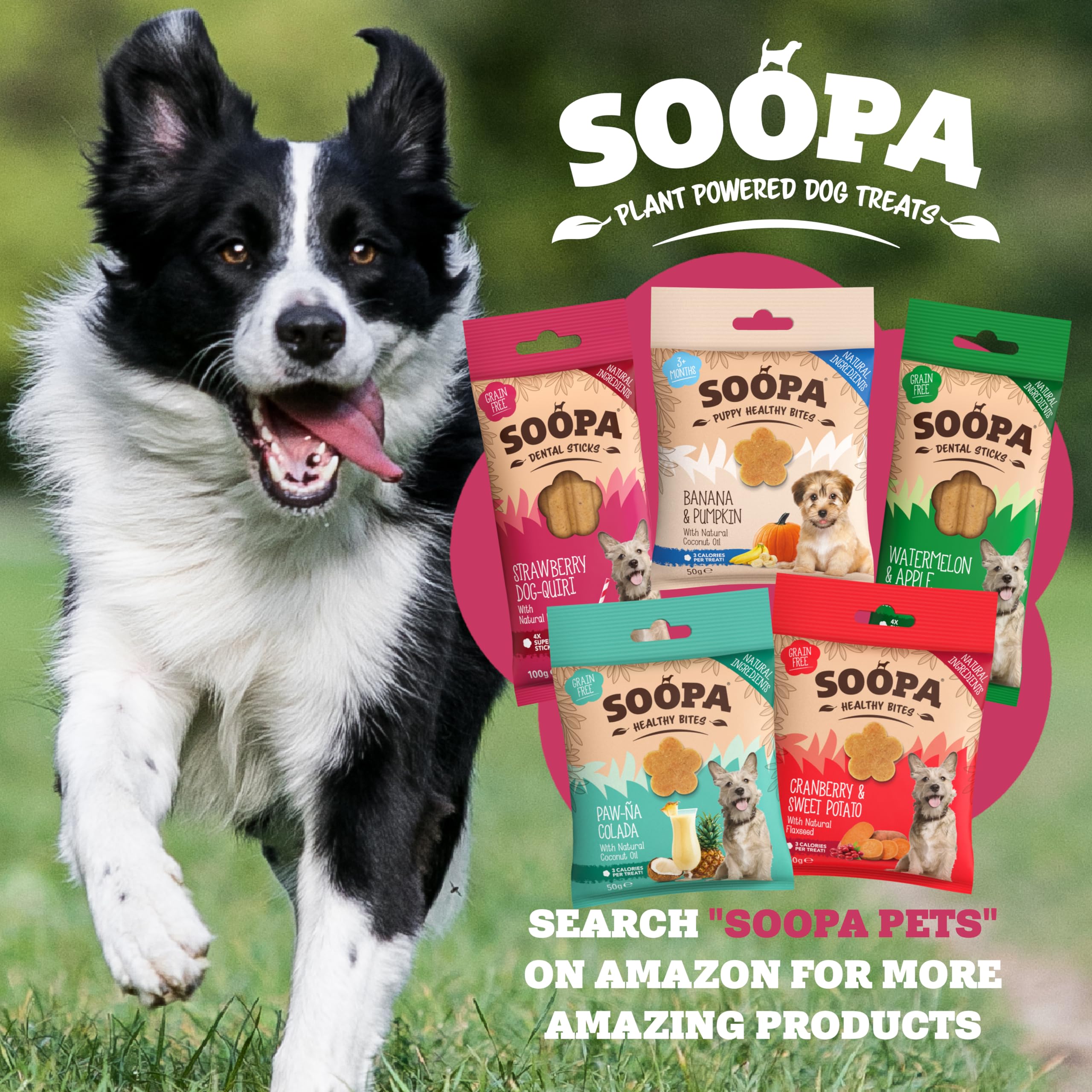 Soopa Strawberry Dog-Quiri Dental Sticks - 100g | Hypoallergenic | Adult Dogs 7