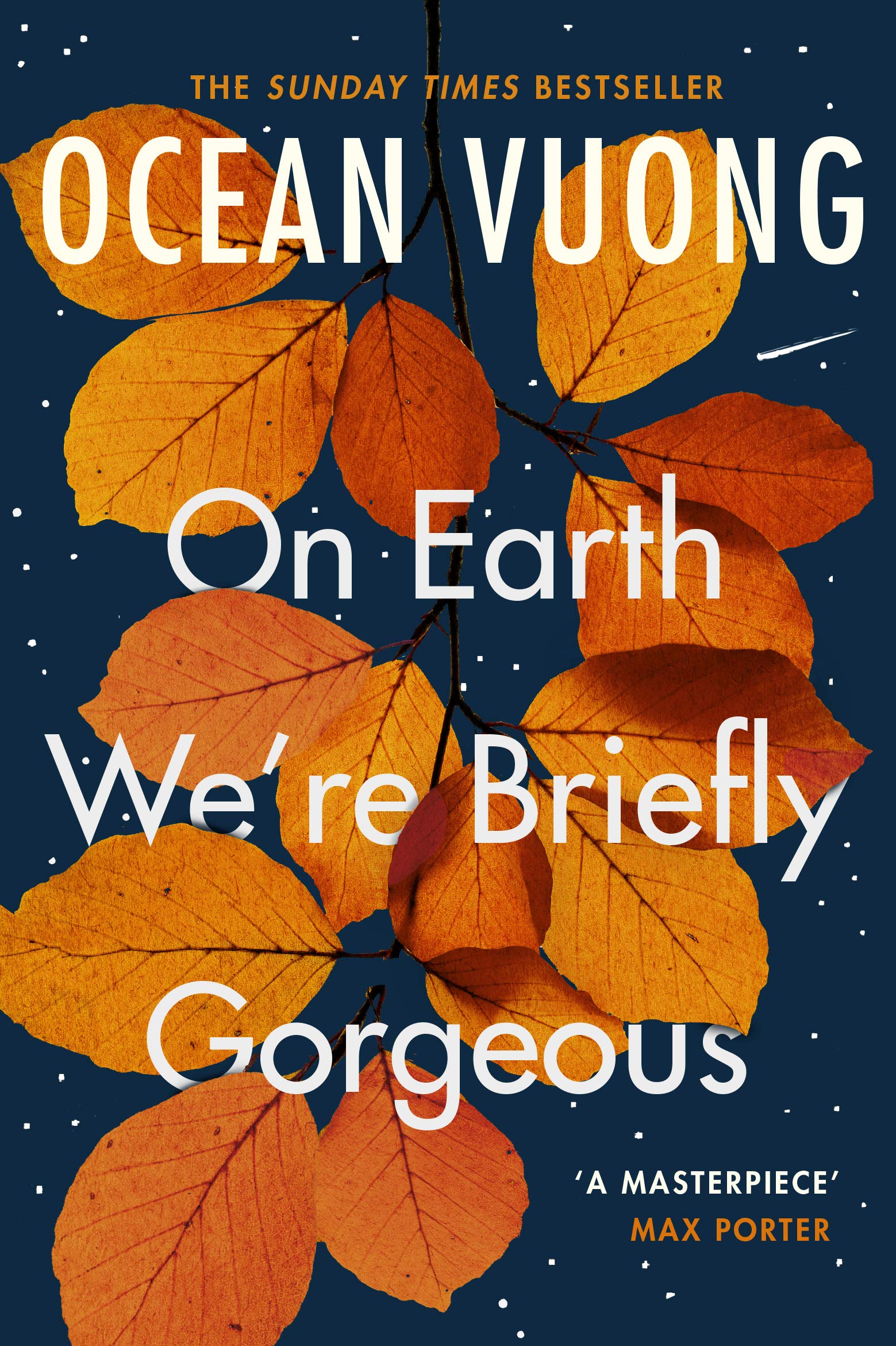 Penguin On Earth We're Briefly Gorgeous - International Edition Paperback | 256 Pages