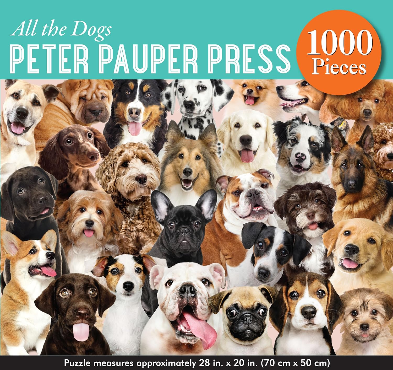 All the Dogs 1000 Piece Jigsaw Puzzle - Premium European Blue Board 3