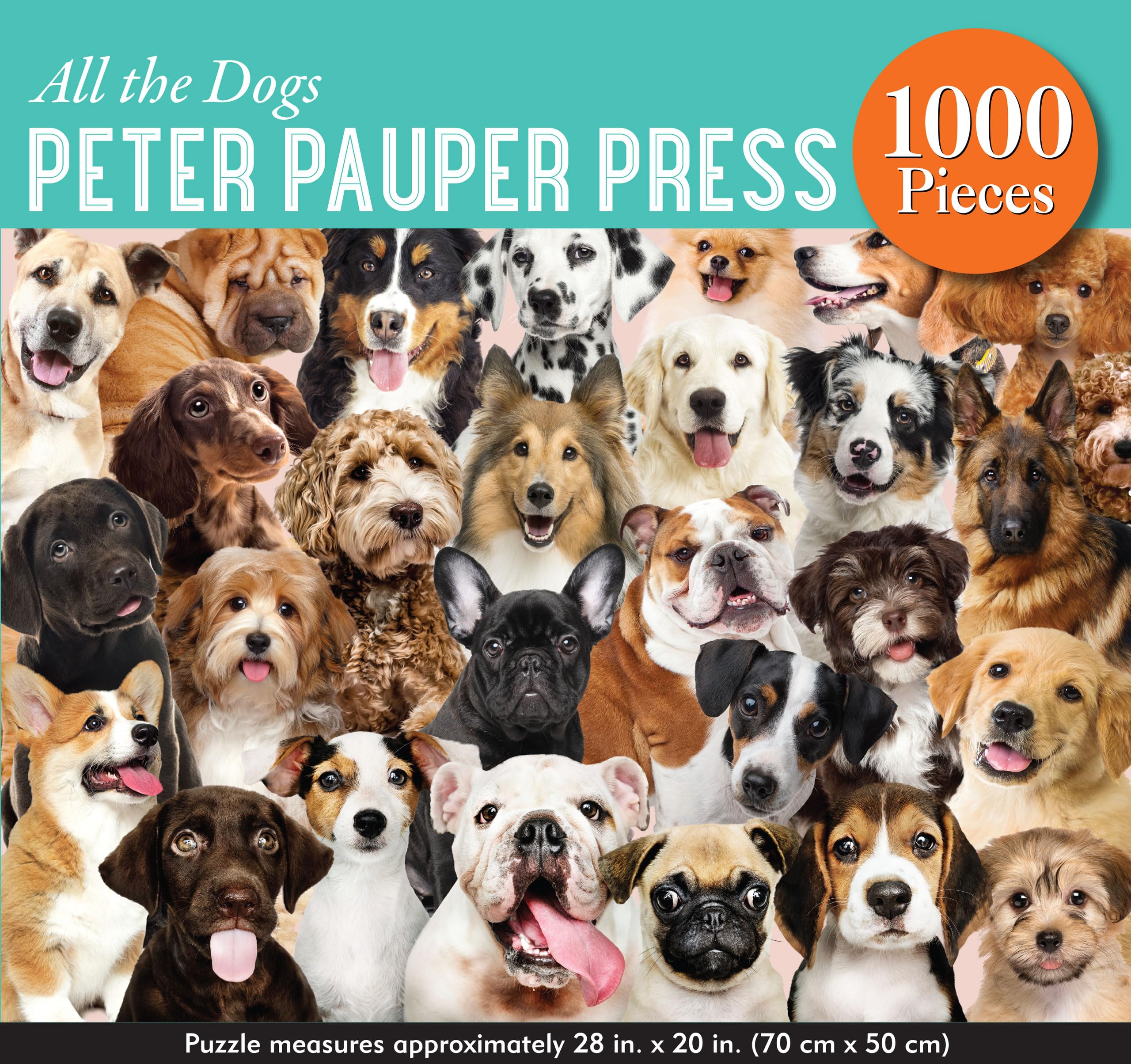 All the Dogs 1000 Piece Jigsaw Puzzle - Premium European Blue Board 5