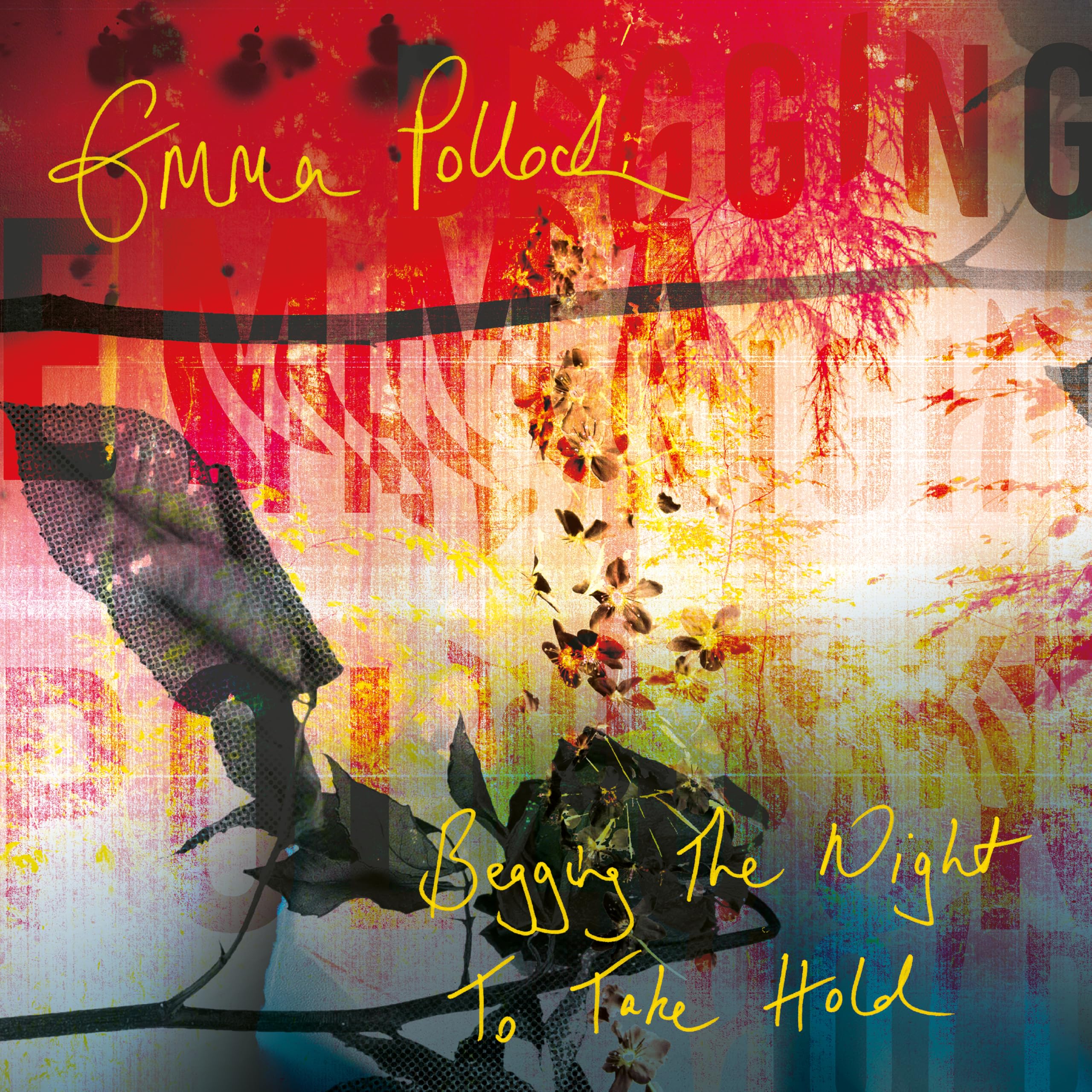 Emma Pollock - Begging the Night to Take Hold [Audio CD]