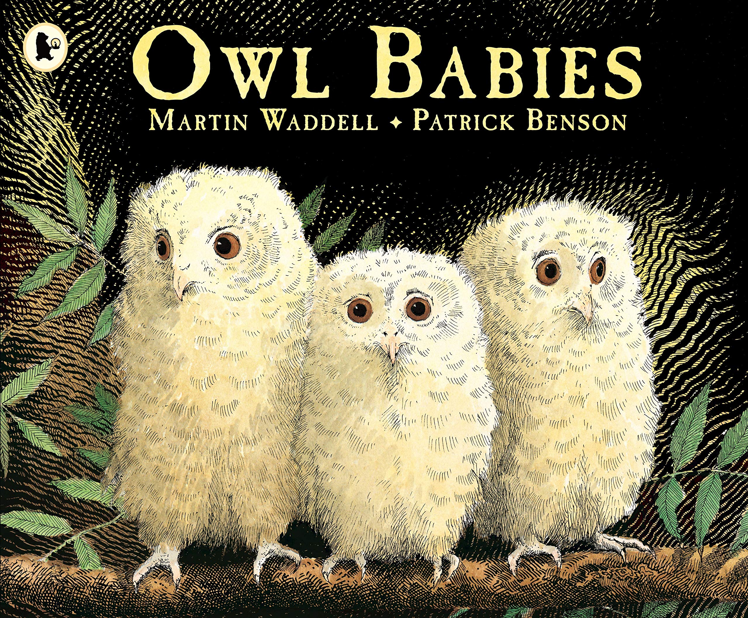 Penguin Owl Babies - Children's Classic Picture Book | Paperback | Ages 2-4 1