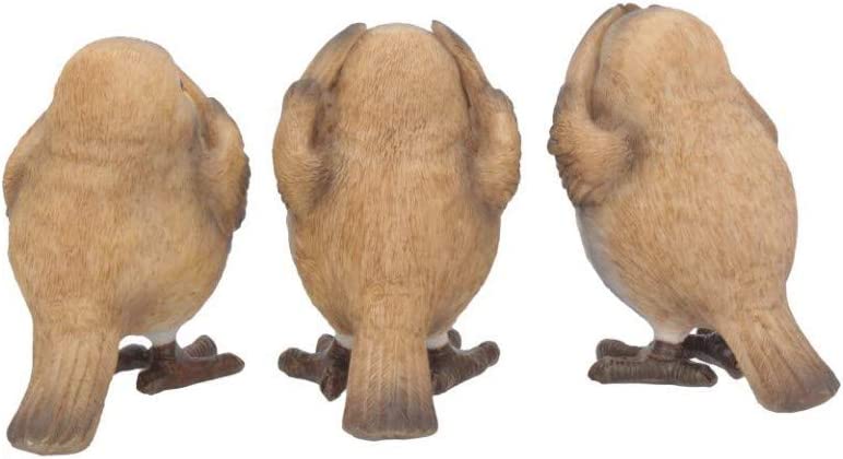 Nemesis Now Animal Collections - Three Wise Robins Figurine (E4572N9) 5