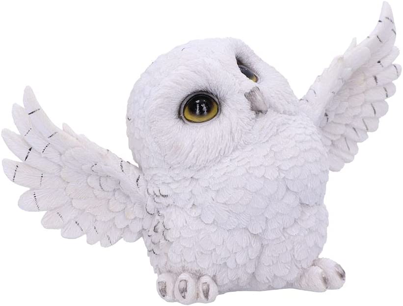 Nemesis Now Snowy Delight - Owl Figurine in White Resin 5
