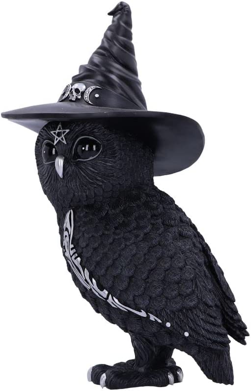 Nemesis Now Owlocen Witch Owl Figurine (B5904V2)