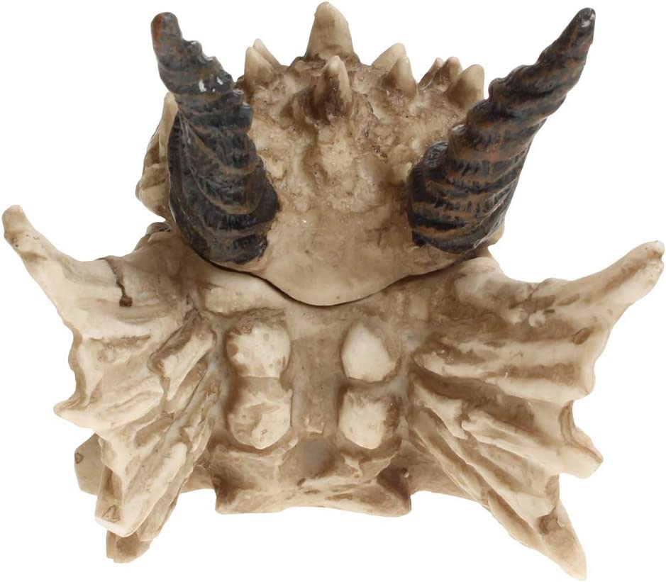 Nemesis Now AL50057 Dragon Skull Box 15cm Ivory