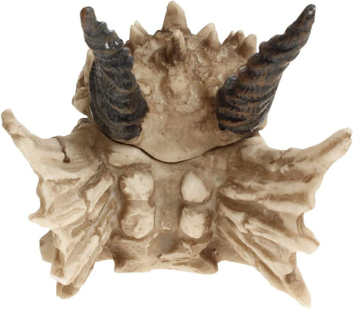 Nemesis Now AL50057 Dragon Skull Box 15cm Ivory