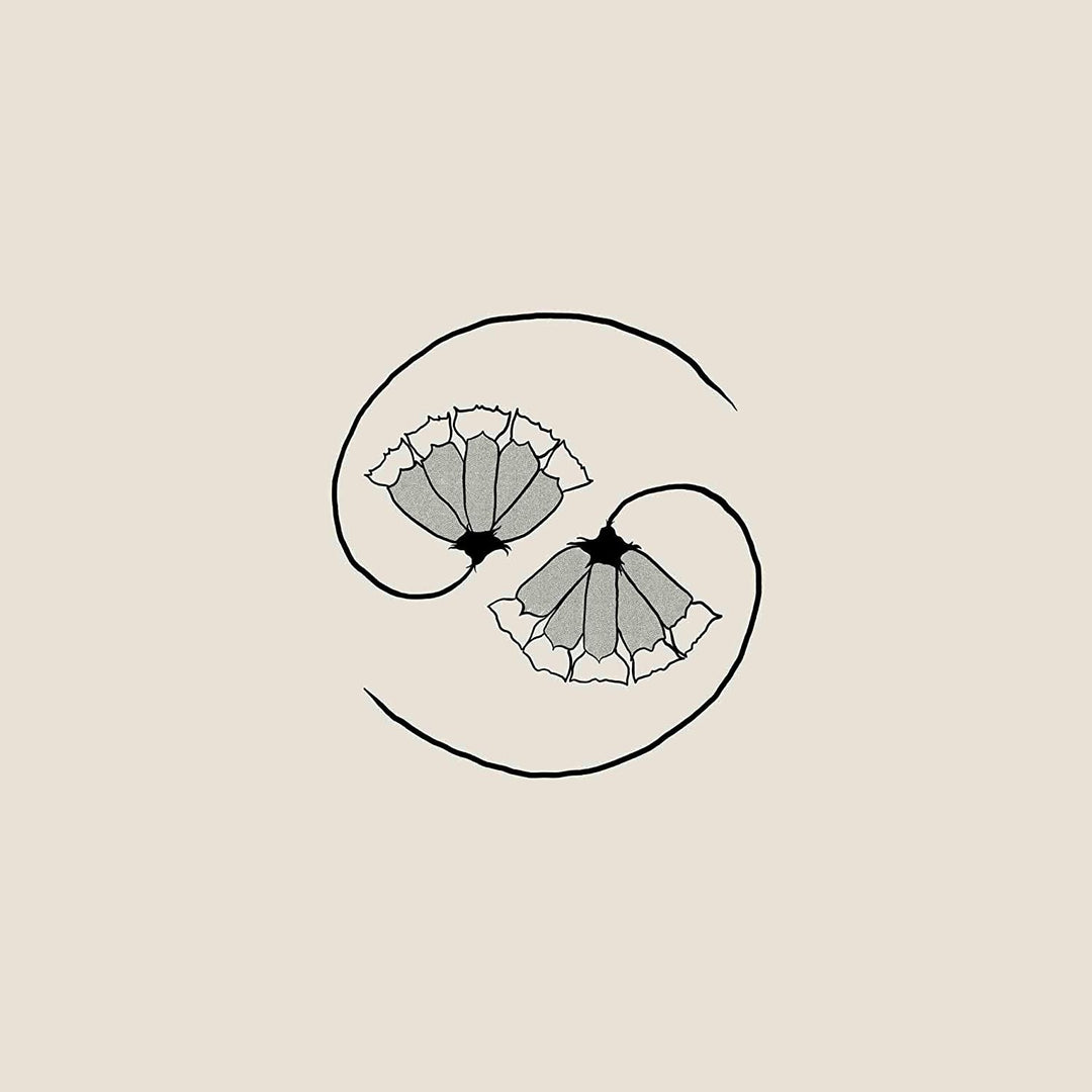 Godspeed You! Black Emperor - G_ds Pee AT STATES END! [Vinyl]