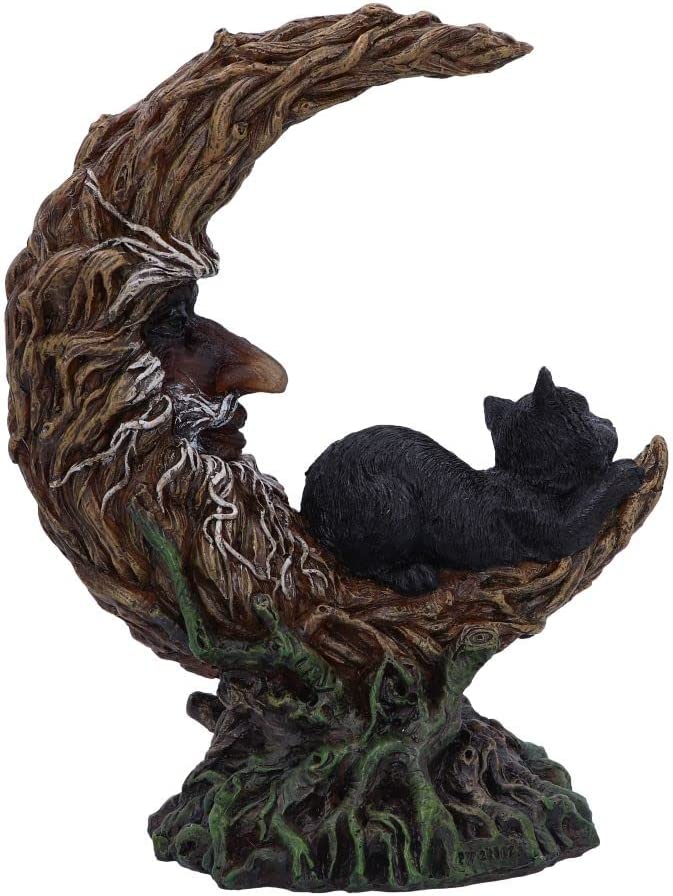 Nemesis Now Wiccan Witch's Familiar Crescent Moon Figurine (U5761U1)