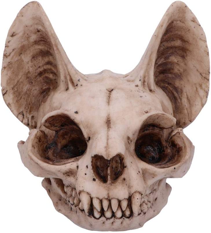 Nemesis Now Bastet's Secret Cat Skull Figurine Ornament, Natural Bone Colour, On