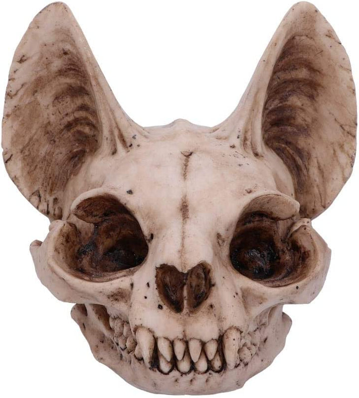 Nemesis Now Bastet's Secret Cat Skull Figurine Ornament, Natural Bone Colour, On