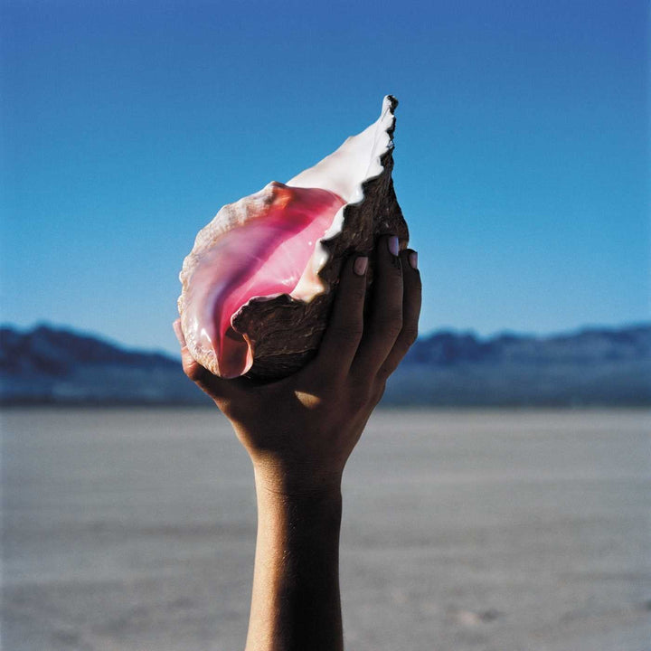 The Killers - Meraviglioso Meraviglioso [VINILE]
