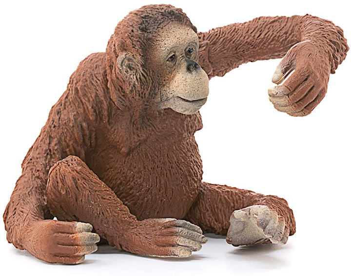 Schleich 14775 Orangutan, femmina