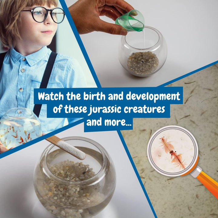 Science4you Brine Shrimp Hatchery kit - Artemias Jurassic Sea Creatures - Includes Artemias Brine shrimp eggs and small fish tank
