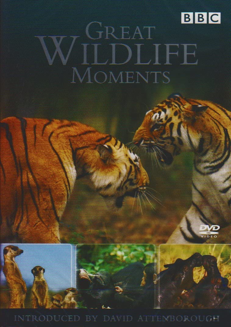 Great Wildlife Moments Introduced by David Attenborough