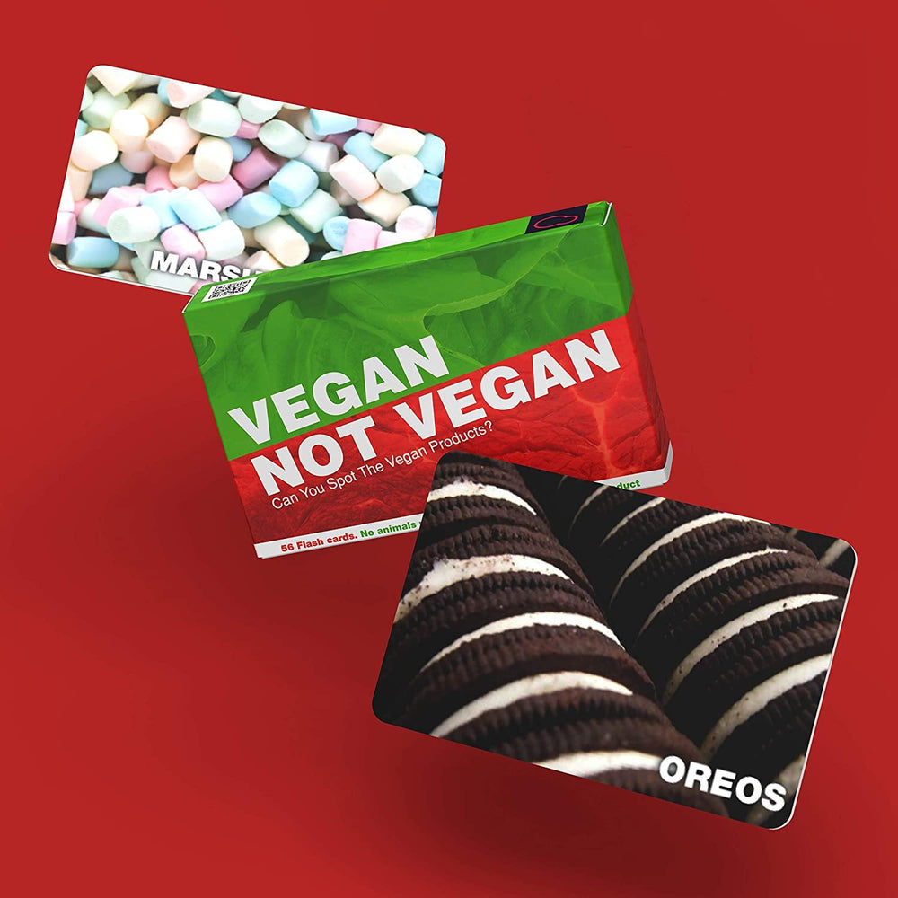Bubblegum Stuff  Vegan Not Vegan Game - Yachew