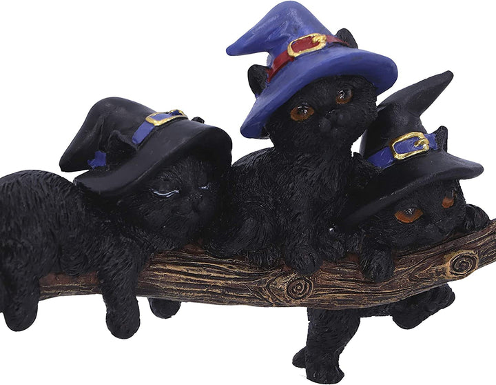 Nemesis Now Purrfect Broomstick Witches Familiar Black Cats and Broomstick Figur