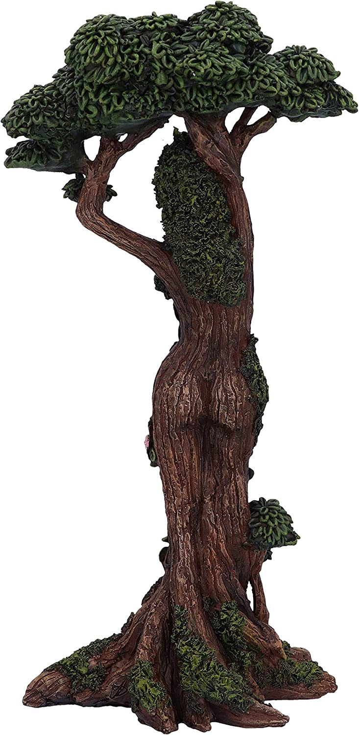 Nemesis Now Tree Spirit Collection - Mother Nature Female Tree Spirit Figurine 6