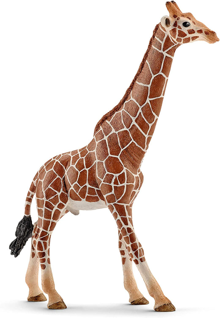 Schleich 14749 Giraffa, Maschio