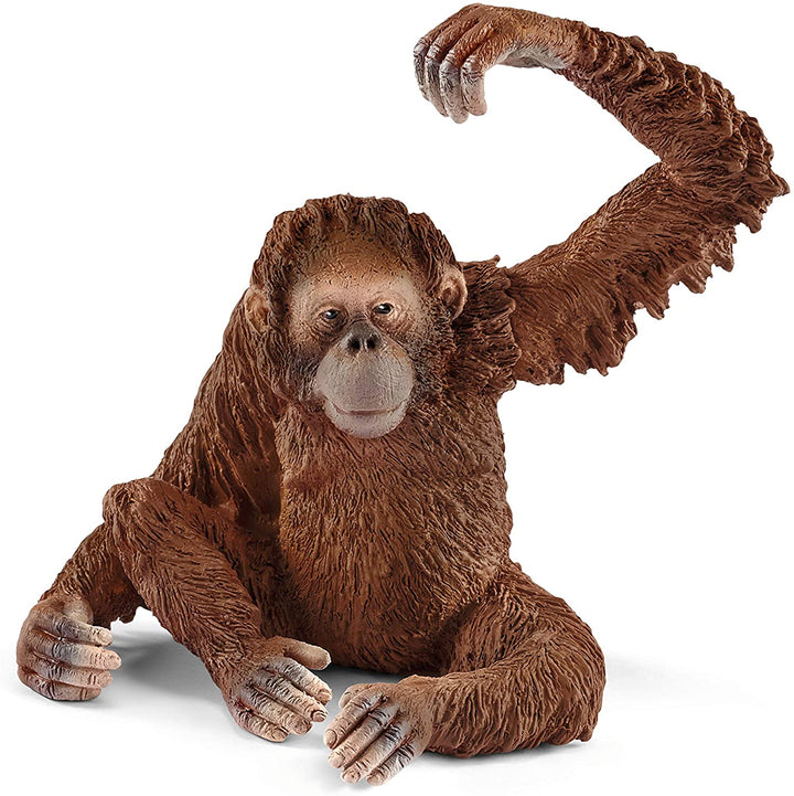 Schleich 14775 Orangutan, femmina