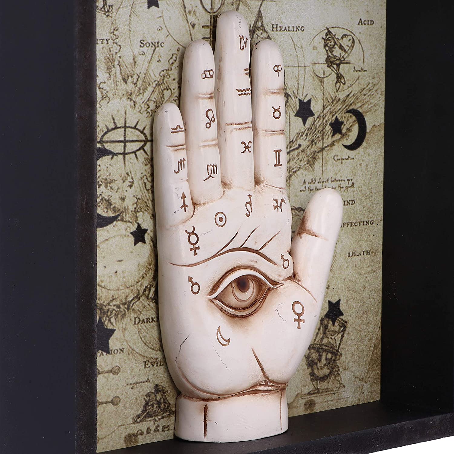 Nemesis Now - Palmistry Companion Framed Chiromancy Wall Art 5