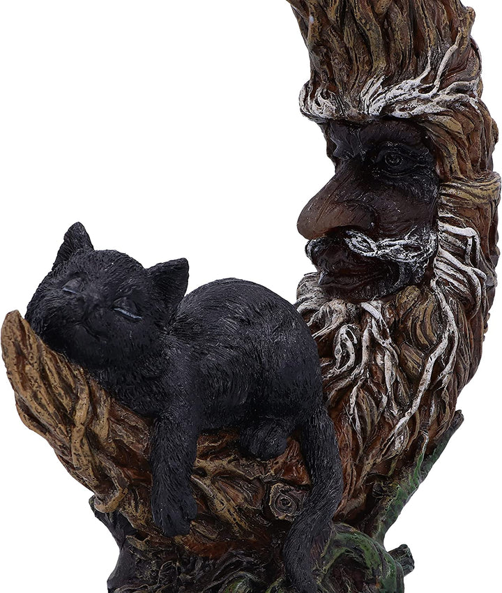 Nemesis Now Wiccan Witch's Familiar Crescent Moon Figurine (U5761U1)