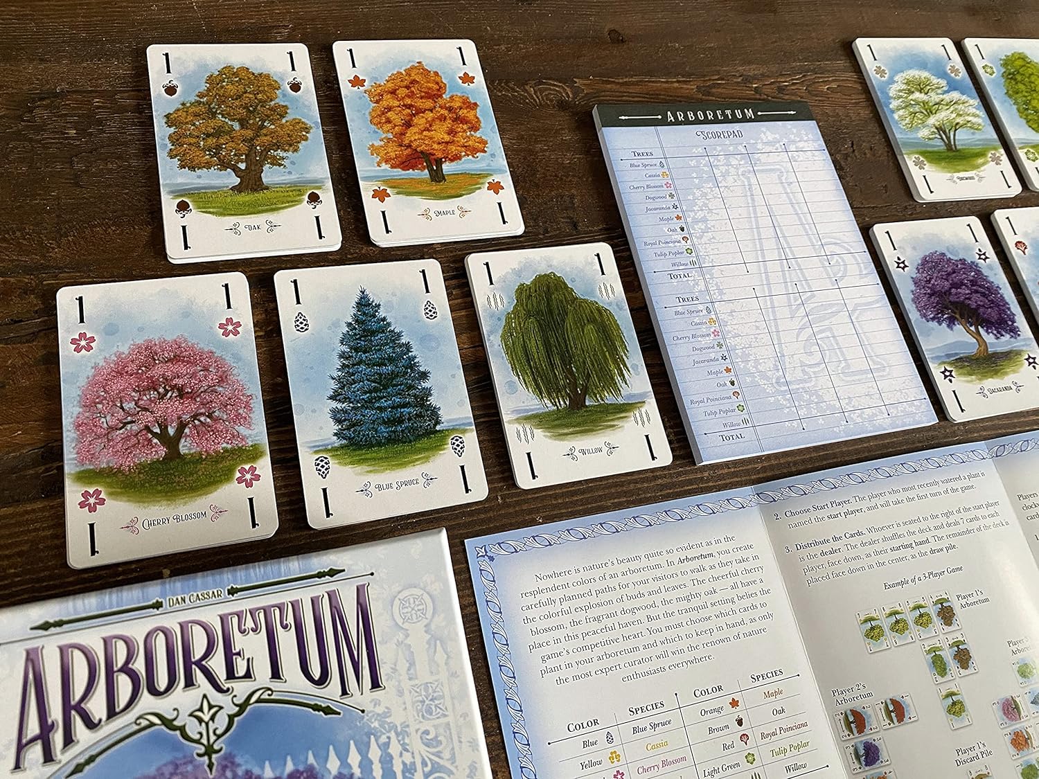 Renegade Game Studio Arboretum Card Game 5